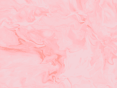 코스 의상 구매 목록