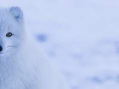 한새벽 / 3학년 / XY