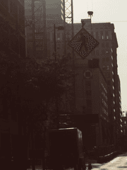 회귀자의 아포칼립스는 혼자인가요?