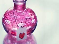 사랑의 물약 (1)