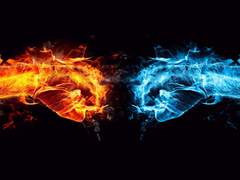 냉정과 열정 사이