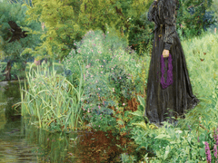 그레이 양으로부터