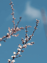 화산귀환 연성글 모음 1