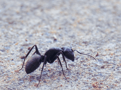 임장 전 체크리스트