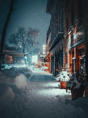 싫어할 수 있게 해줘