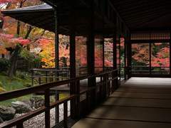 나의 평범한 그대에게 6화