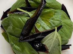 가지는 맛있답니다.