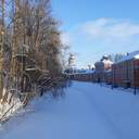 얌전한 문화생활