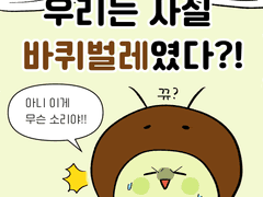 우리는 사실 바퀴벌레였다?!