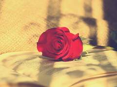 아무도 모르는 나를 너는 몇 번이고 보고 있어