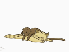 카피페(incorrect quotes) 모음 2