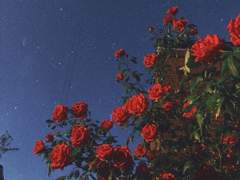 멤버십 관련 공지 (A)