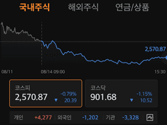 2종목(○○○○○, ○○○○○) 매수