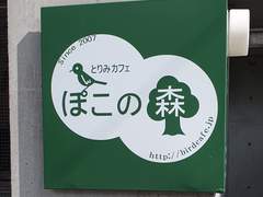 하토풀 보이프렌드 성지순례