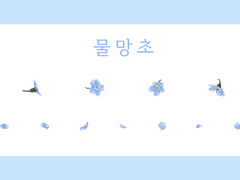 물망초 브러쉬 (무료 소재)