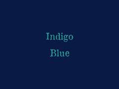 Indigo Blue (본편)