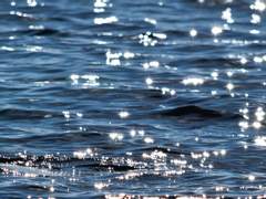 데미안 G. 에버그린/XY/후플푸프