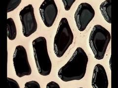 [카쿠재브] 새삼스럽잖아