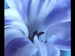 [스파루치ts] 이혼 이외엔 뭐든지