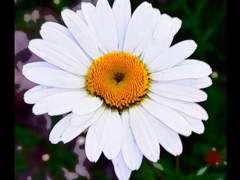 선택의 기로 (1)