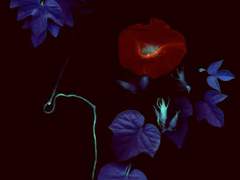 생이 가장 쉽다. 사死는 건 그 다음이다