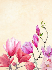 [량음장현] 우정후연정(友情後聯政)