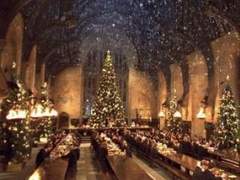 다정한 오소리는