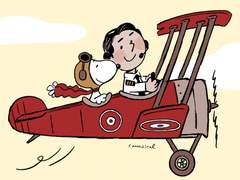 낭기리 필모 몇개