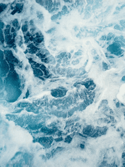 커뮤 로그 백업