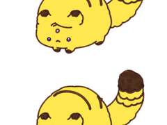 제노스 빠다 제로 백업 3