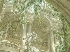 세녹 브라이언트 프로필