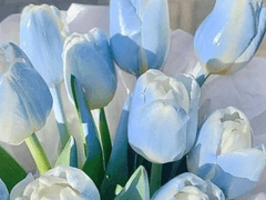 이보다 좋을 순 없다 04