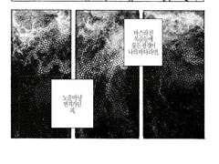 바다가 물었다.