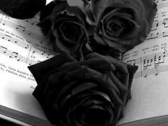 시간이여, 멈춰줘. 이 동화를 더 새기고 싶어.