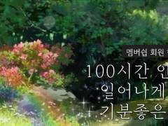 🦋 100시간 안에 일어날 기분 좋은 일 #003