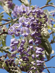 슬램덩크 김수겸/후지마 켄지를 좋아합니다.