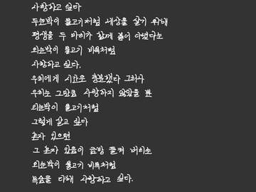 외눈박이 물고기의 사랑