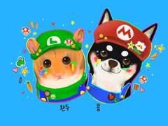 반려동물커미션