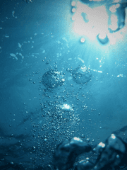 물에 잠긴 X를 위하여