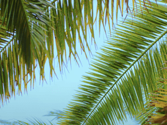 그는 나의 7년을 앗아갔다.