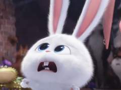 한여주의 파란만장 연예계 라이푸+++++