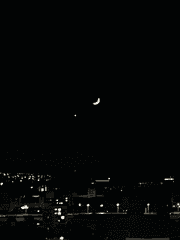 완벽한 거리를 찾아서