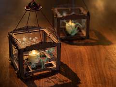 [ 나누경원 ] 손자국