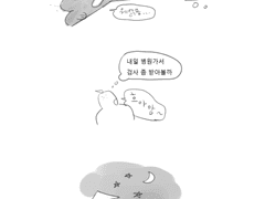 [순부] 고양이를 유기하지 마시오