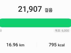 2023 년 8 월 15 일 화요일 걸음 기록