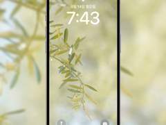 [무료 배경화면] 숲의 한자락