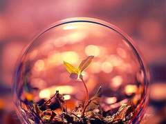 붉은 달의 아이