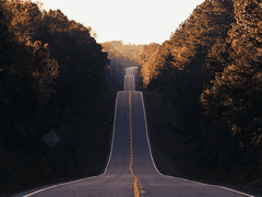 [8월 공모주] 시큐레터 투자 정보 알아보기