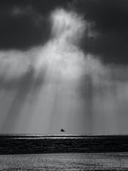 [중장편] 멋진 징조들 팬픽 (논컾?)