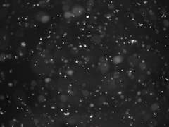 겨울은 어떤 계절입니까?